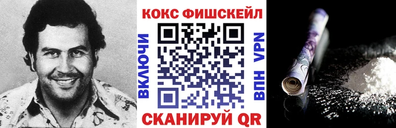 Купить где  Сухиничи  COCAIN 99% 